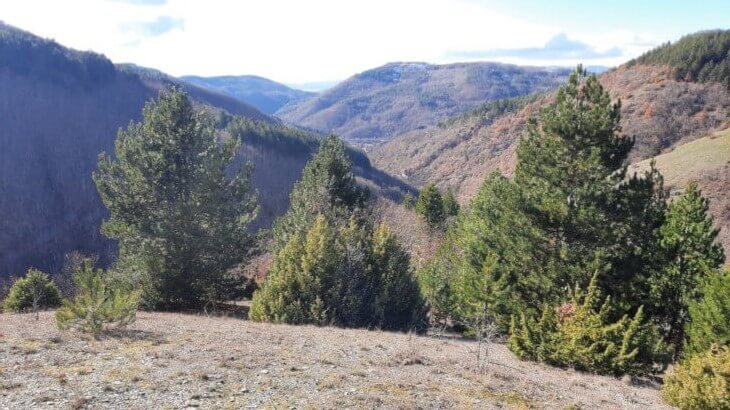 Galicica mountain